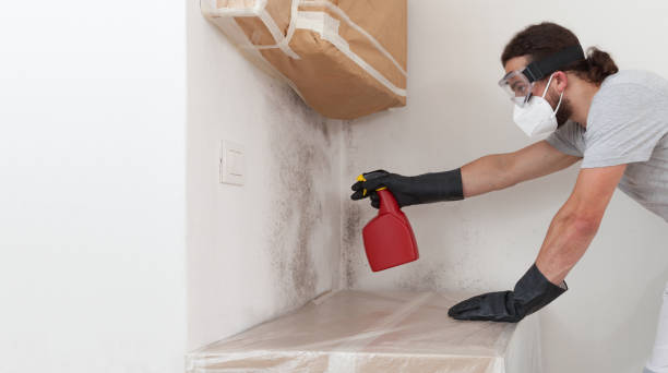 Professional Bathroom Mold Removal technician working in Oakdale, NY